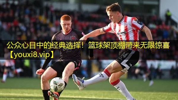 公众心目中的经典选择!篮球架顶棚带来无限惊喜 公众心目中的经典选择!篮球架顶棚带来无限惊喜