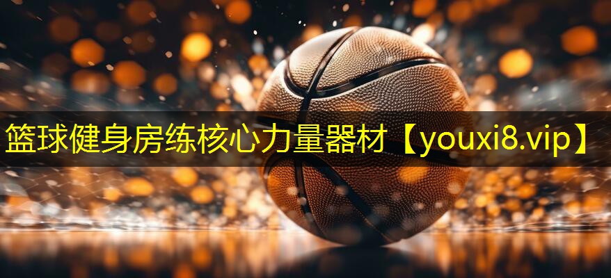 篮球健身房练核心力量器材